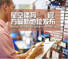 研发能力标题三