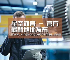 研发能力标题四