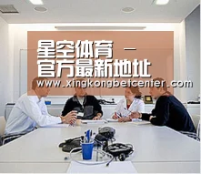 研发能力标题二
