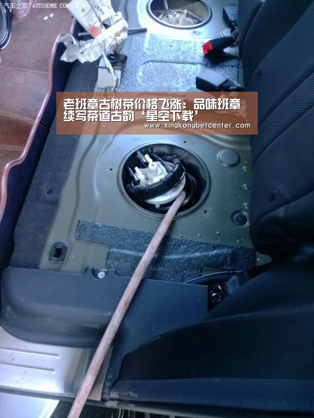老班章古树茶价格飞涨：品味班章续写茶道古韵‘星空下载’